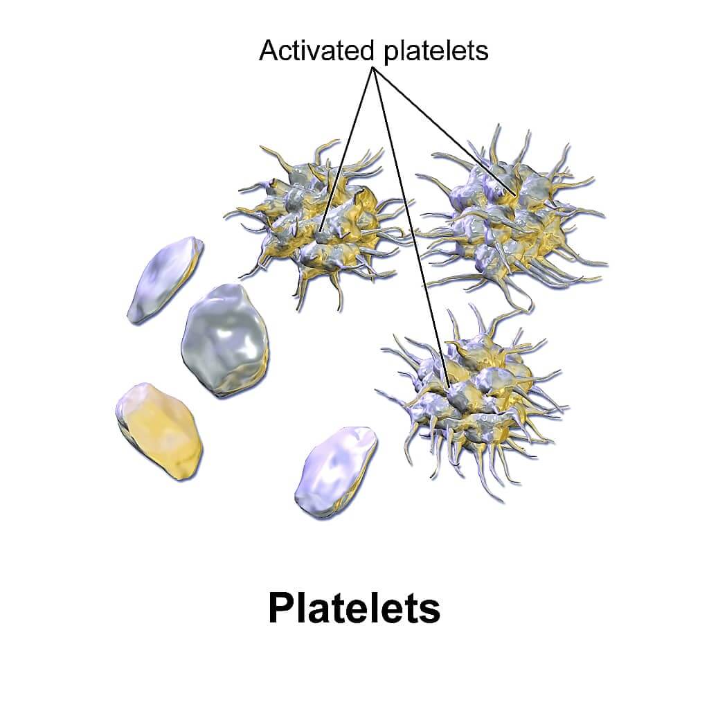 activated and inactivated platelets - activated platelets - inactivated platelets