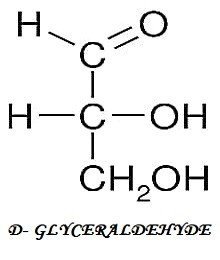 D- GLYCERALDEHYDE