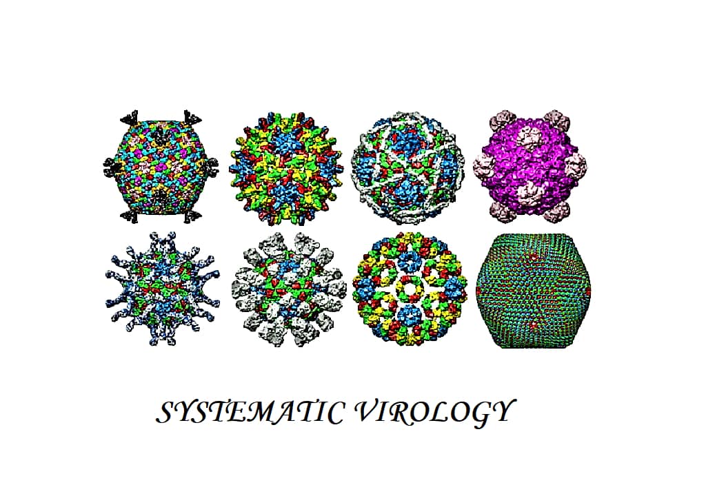SYSTEMATIC VIROLOGY