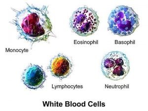 Total Leucocyte Count (tlc) A.k.a Total Wbc Count Using Hemocytometer