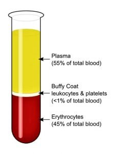 Difference Between Serum and Plasma | Hematology Notes