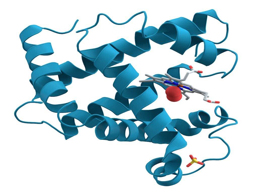 ENZYMES - QUIZ ON ENZYMES - ENZYME MCQs - BIOCHEMISTRY QUIZZES