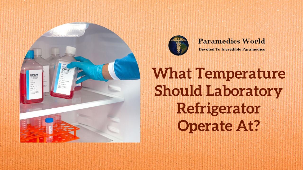 https://paramedicsworld.com/wp-content/uploads/2018/08/What-Temperature-Should-Laboratory-Refrigerator-Operate-At.jpg