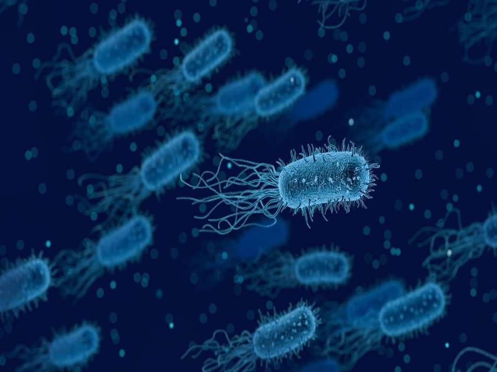 MEDICAL MICROBIOLOGY - BASICS OF MEDICAL MICROBIOLOGY - QUIZ - MICROBIOLOGY QUIZ - MEDICAL MICROBIOLOGY QUIZ - MEDICAL QUIZ