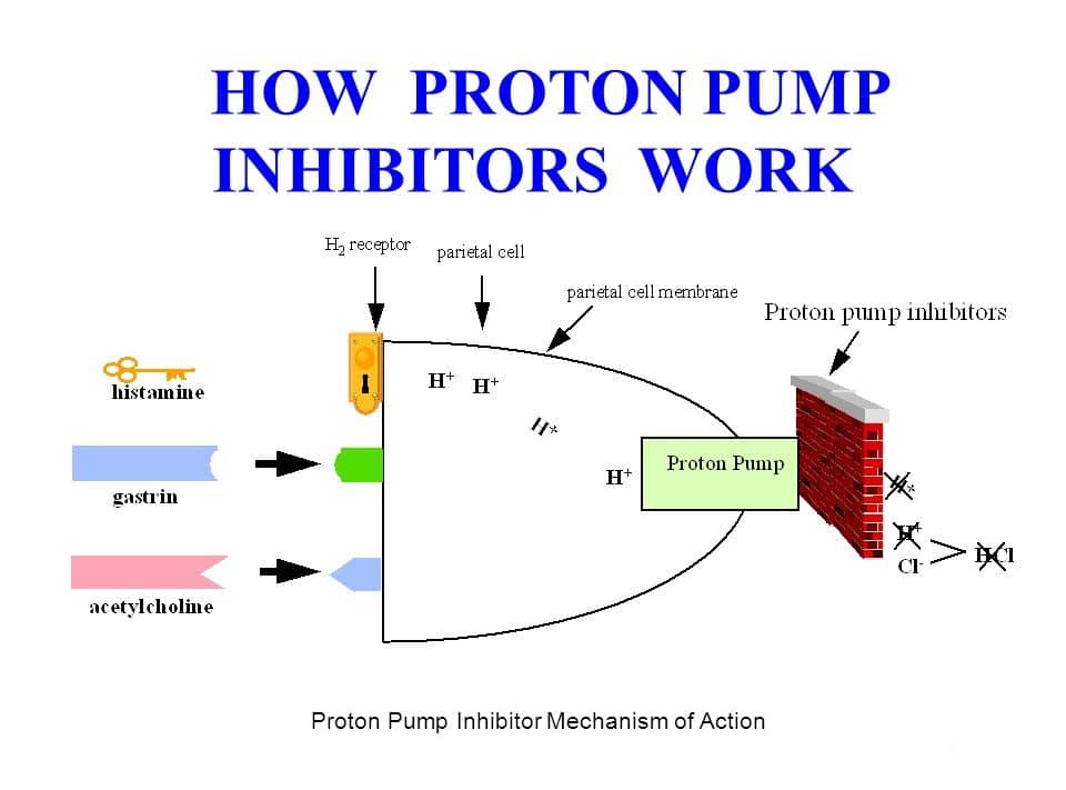 mechanism of action of proton pump inhibitors - ppi action - working of proton pump inhibitors
