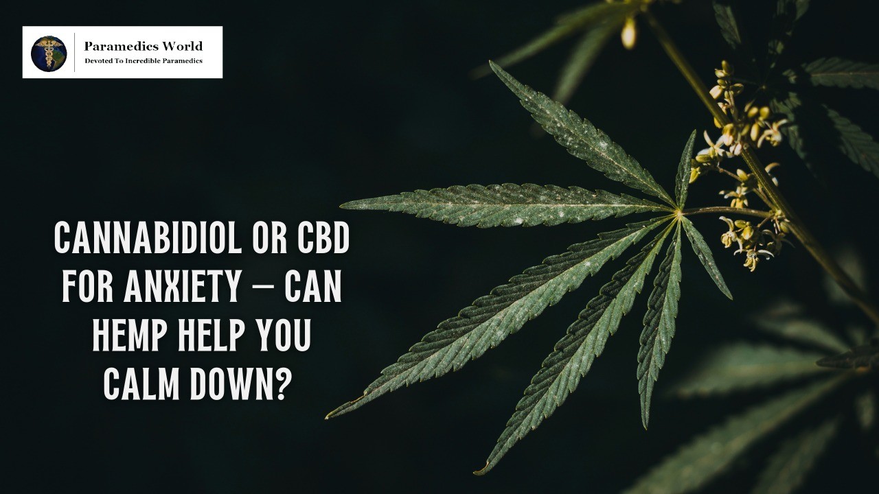 Cannabidiol Or CBD For Anxiety - Can Hemp Help You Calm Down?