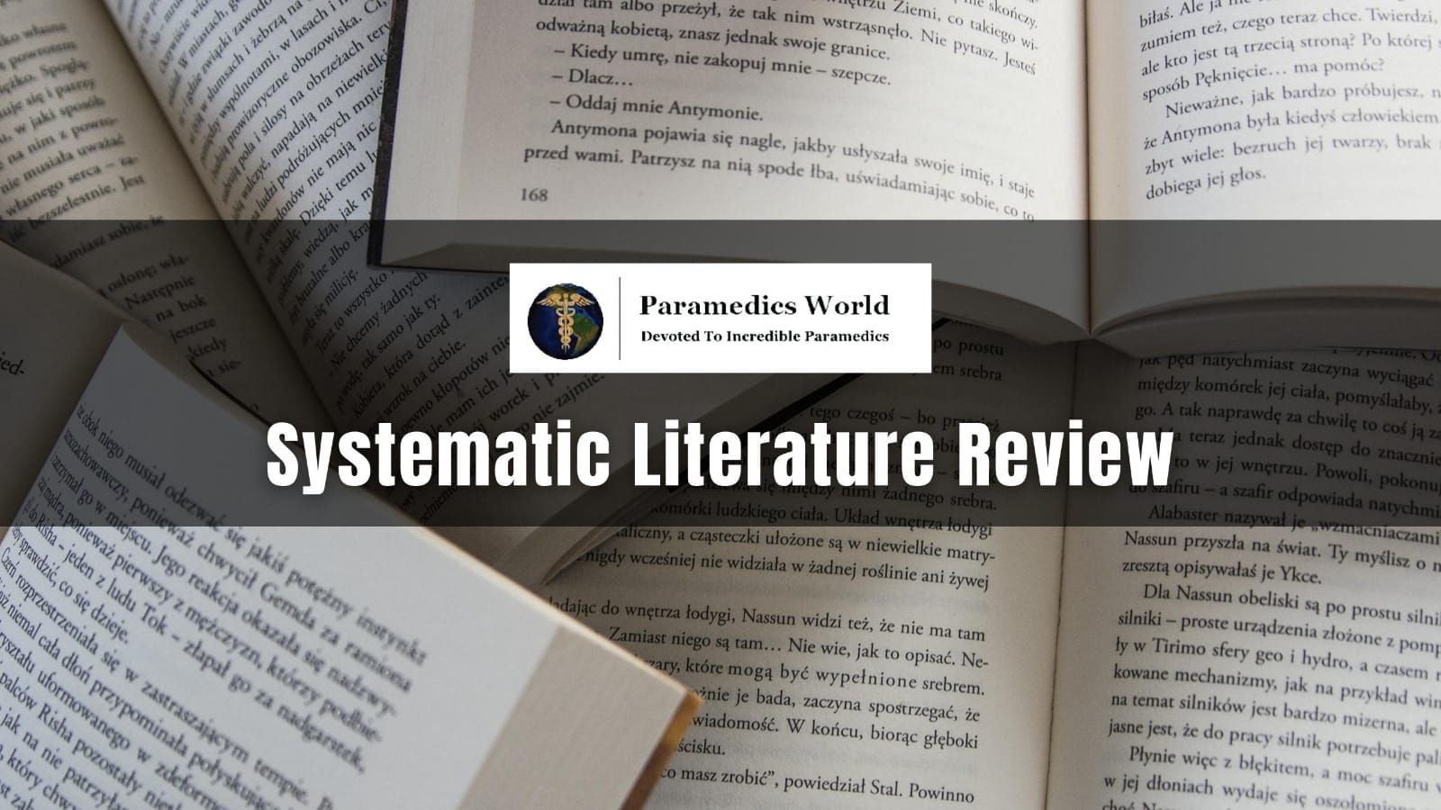 systematic-literature-review-paramedics-world