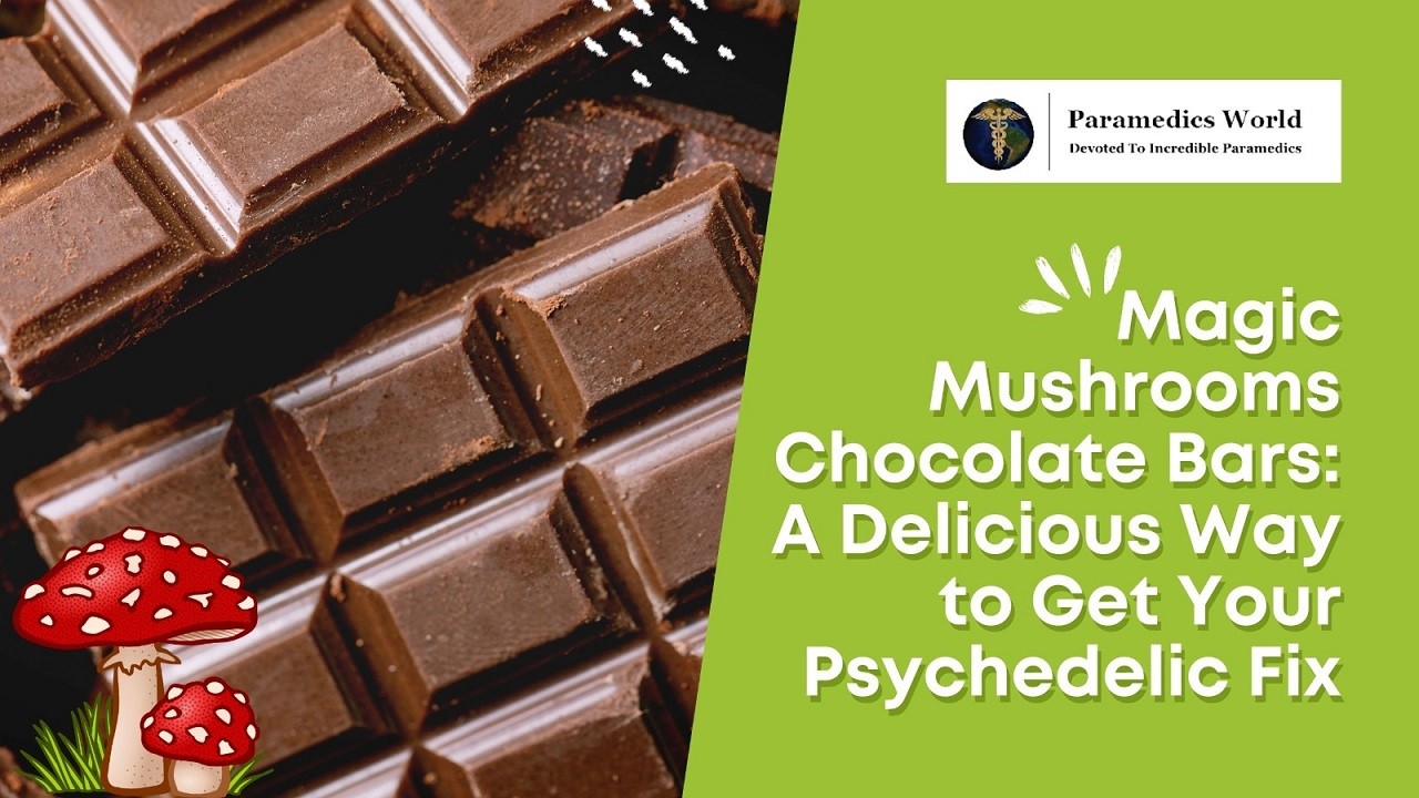 Magic Mushrooms Chocolate Bars A Delicious