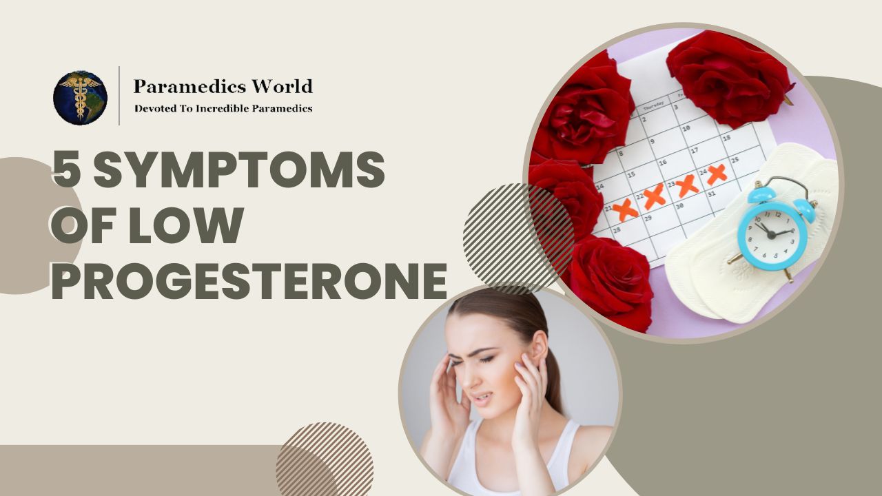 5 Symptoms of Low Progesterone | Paramedics World