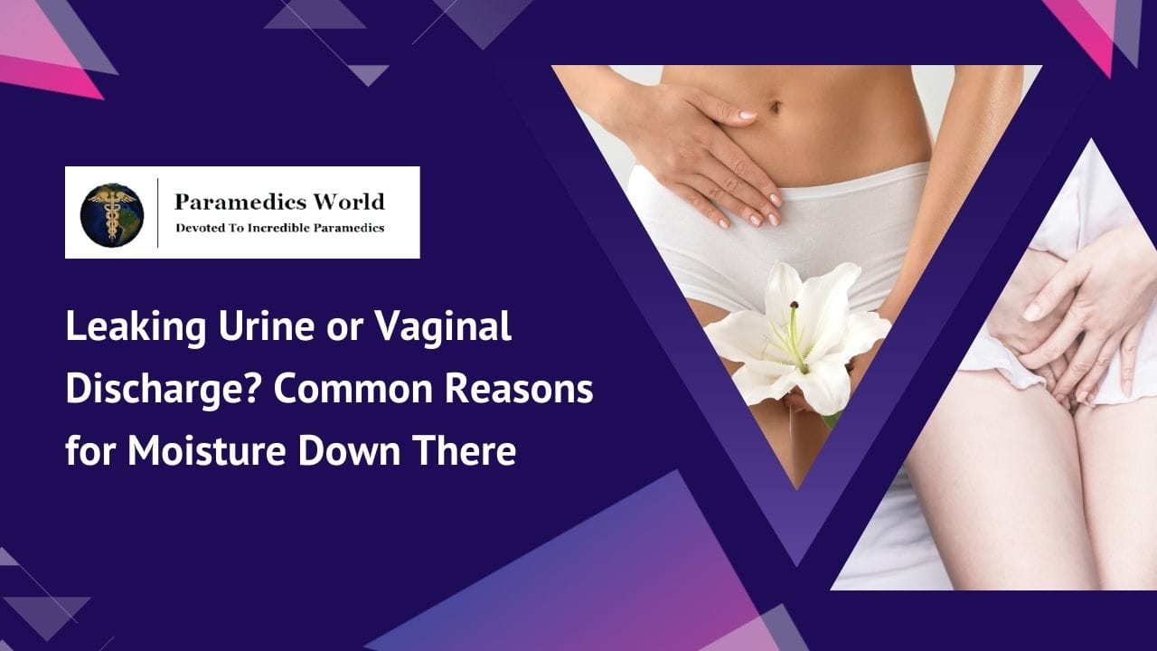 Leaking Urine or Vaginal Discharge? Common Reasons for Moisture Down There